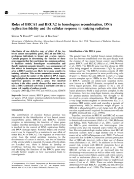 Roles of BRCA1 and BRCA2 in Homologous Recombination, DNA Replication ﬁdelity and the Cellular Response to Ionizing Radiation