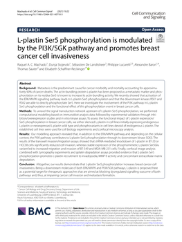 L-Plastin Ser5 Phosphorylation Is Modulated by the PI3K/SGK