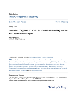 The Effect of Hypoxia on Brain Cell Proliferation in Weakly Electric Fish, Petrocephalus Degeni