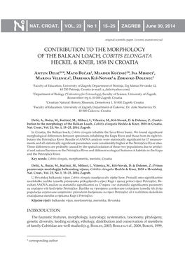 CONTRIBUTION to the Morphology of the Balkan Loach, Cobitis Elongata Heckel & Kner, 1858 in Croatia