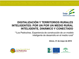 Programa De Actuación Integral