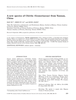 A New Species of Chirita (Gesneriaceae) from Yunnan, China