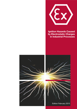 Ignition Hazards Caused by Electrostatic Charges in Industrial Processes