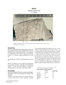 60335 Basaltic Impact Melt 317.8 Grams