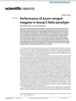 Performance of Azure-Winged Magpies in Aesop's Fable Paradigm