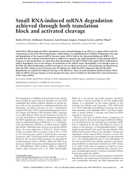 Small RNA-Induced Mrna Degradation Achieved Through Both Translation Block and Activated Cleavage