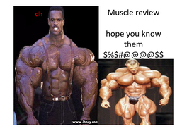 Muscle Review