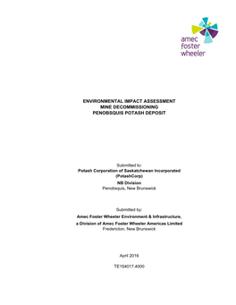 Environmental Impact Assessment Mine Decommissioning Penobsquis Potash Deposit