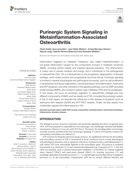 Purinergic System Signaling in Metainflammation-Associated