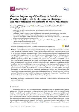 Genome Sequencing of Paecilomyces Penicillatus Provides Insights Into Its Phylogenetic Placement and Mycoparasitism Mechanisms on Morel Mushrooms