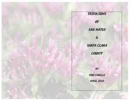 Clover Guide Native