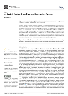 Activated Carbon from Biomass Sustainable Sources