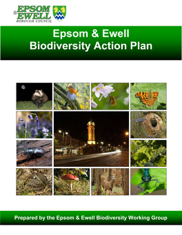 Local Biodiversity Action Plan? Page 7