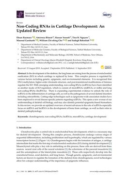 Non-Coding Rnas in Cartilage Development: an Updated Review