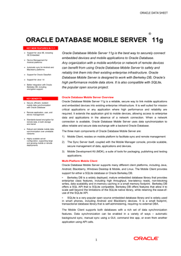 Database Mobile Server Datasheet