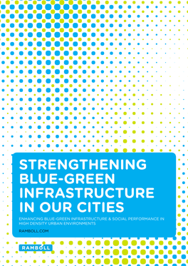 Strengthening Blue-Green Infrastructure in Our Cities