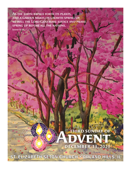 THIRD SUNDAY of ADVENT Page Two THIRD SUNDAY of ADVENT December 13, 2020