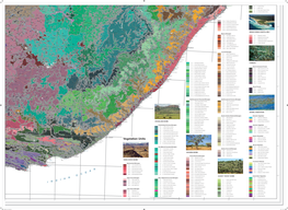 Vegetation Units