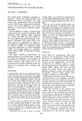 Vocalizations of Scaled Quail