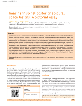 Imaging in Spinal Posterior Epidural Space Lesions: a Pictorial Essay