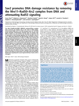 Sae2 Promotes DNA Damage Resistance by Removing the Mre11