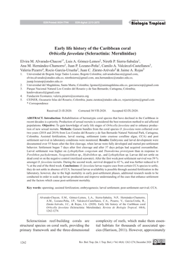 Early Life History of the Caribbean Coral Orbicella Faveolata (Scleractinia: Merulinidae)