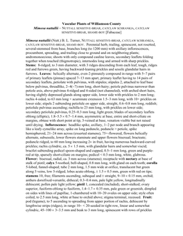 Vascular Plants of Williamson County Mimosa Nuttallii − NUTTALL SENSITIVE-BRIAR, CATCLAW SCHRANKIA, CATCLAW SENSITIVE-BRIAR, SHAME-BOY [Fabaceae]