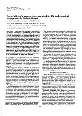 Inducibility of a Gene Product Required for UV and Chemical Mutagenesis