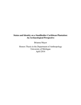 Status and Identity on a Smallholder Caribbean Plantation: an Archaeological Perspective