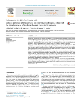 Isolated Paralysis of the Serratus Anterior Muscle: Surgical Release Of