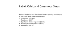Lab 4: Orbit and Cavernous Sinus