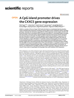 A Cpg Island Promoter Drives the CXXC5 Gene Expression