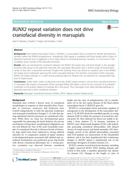 RUNX2 Repeat Variation Does Not Drive Craniofacial Diversity in Marsupials Axel H