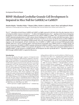 BDNF-Mediated Cerebellar Granule Cell Development Is Impaired in Mice Null for Camkk2 Or Camkiv