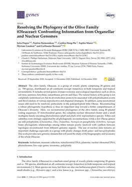 Resolving the Phylogeny of the Olive Family (Oleaceae): Confronting Information from Organellar and Nuclear Genomes