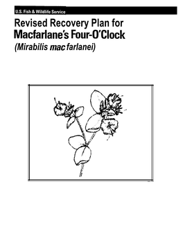 Revised Recovery Plan for Macfarlanes Four-O'clock