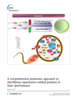 A Comprehensive Proteomic Approach to Identifying Capacitation Related Proteins in Boar Spermatozoa Kwon Et Al