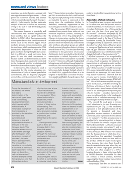 Molecular Clocks in Development Life15