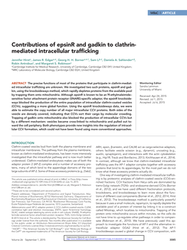 Contributions of Epsinr and Gadkin to Clathrin- Mediated Intracellular Trafficking