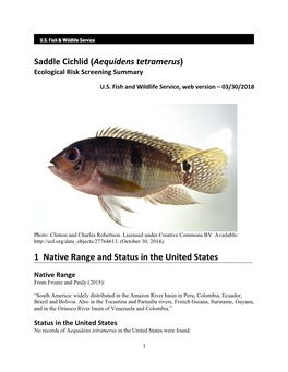 Aequidens Tetramerus) Ecological Risk Screening Summary