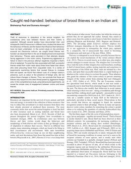 Caught Red-Handed: Behaviour of Brood Thieves in an Indian Ant Bishwarup Paul and Sumana Annagiri*