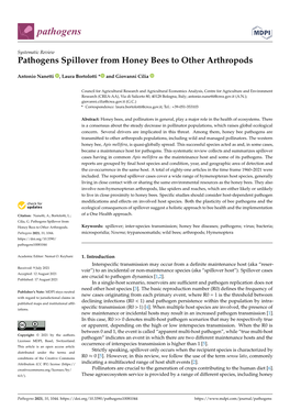 Pathogens Spillover from Honey Bees to Other Arthropods