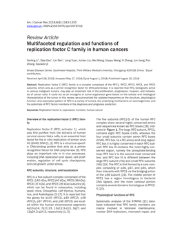 Review Article Multifaceted Regulation and Functions of Replication Factor C Family in Human Cancers