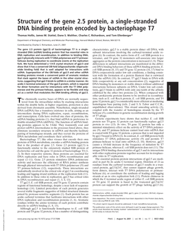 Structure of the Gene 2.5 Protein, a Single-Stranded DNA Binding Protein Encoded by Bacteriophage T7