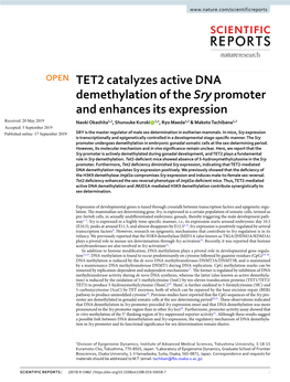 TET2 Catalyzes Active DNA Demethylation of the Sry Promoter