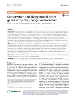 Conservation and Divergence of Bhlh Genes in the Calcisponge Sycon Ciliatum Sofia A