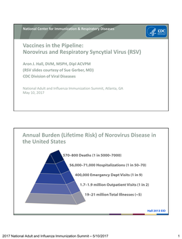 Norovirus and Respiratory Syncytial Virus (RSV)