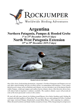 Argentina Northern Patagonia, Pampas & Hooded Grebe 1St to 15Th December 2019 (15 Days) North West Patagonia Extension 15Th to 19Th December 2019 (5 Days)
