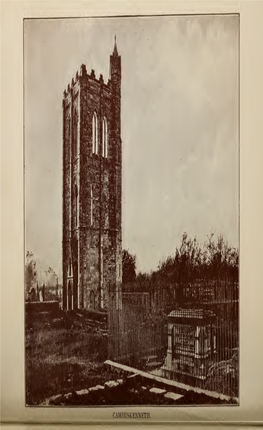 Tower at Cambuskenneth Abbey and Tomb of James