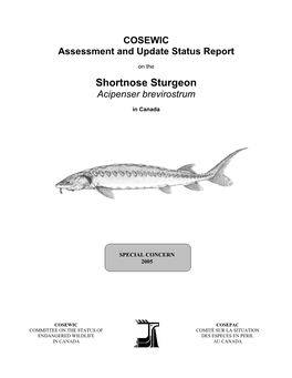 Shortnose Sturgeon (Acipenser Brevirostrum) and Atlantic Sturgeon (A